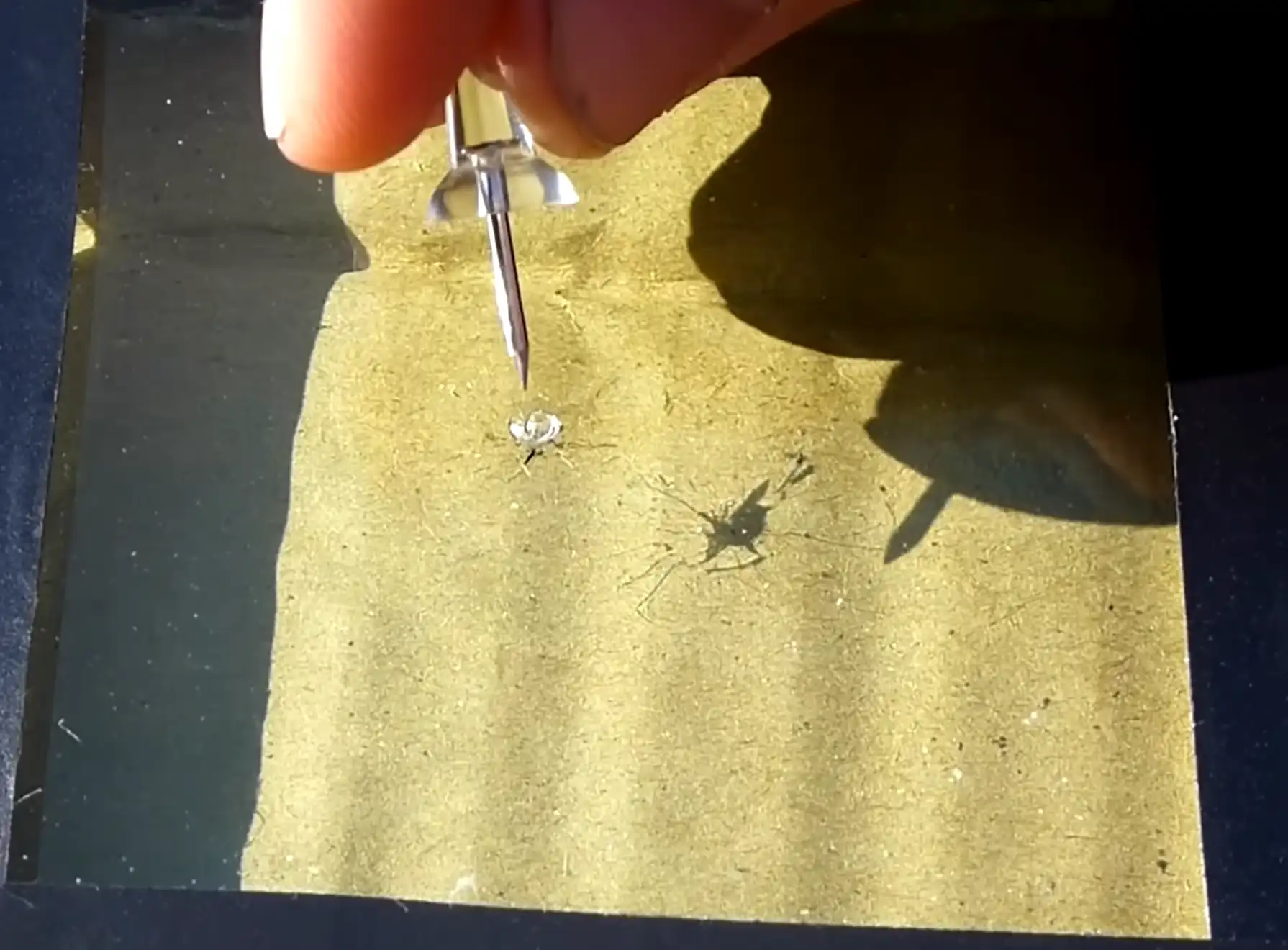 Rock chip on a windshield before it spreads into a crack